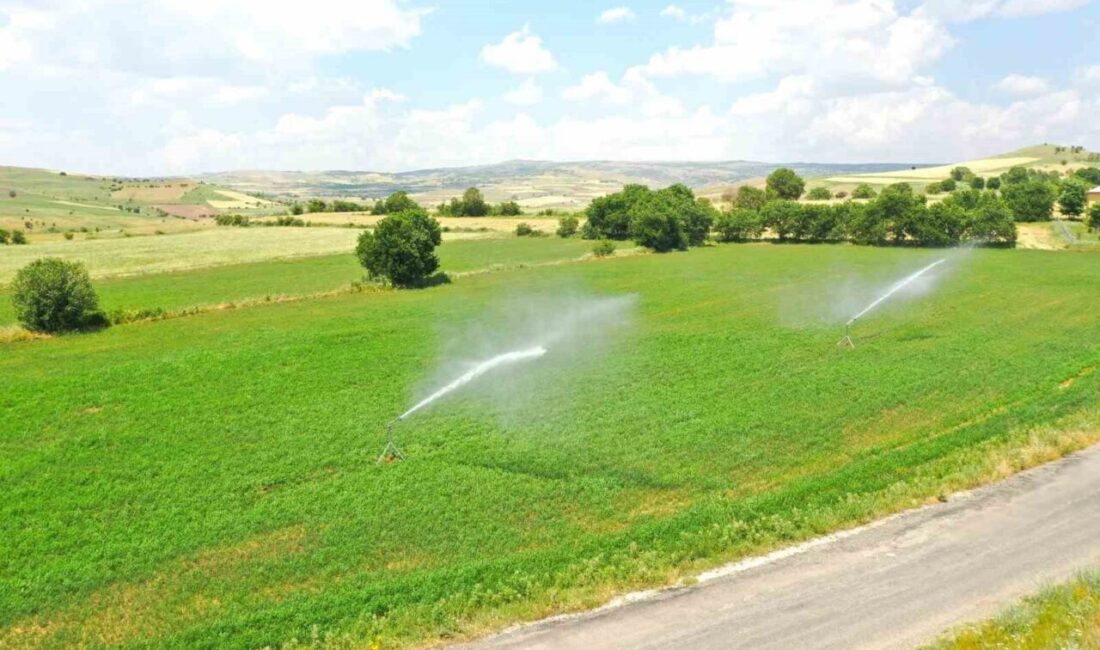 Tunceli’de 40 bin 440 dekar tarım arazisinde yapılacak sulu tarım