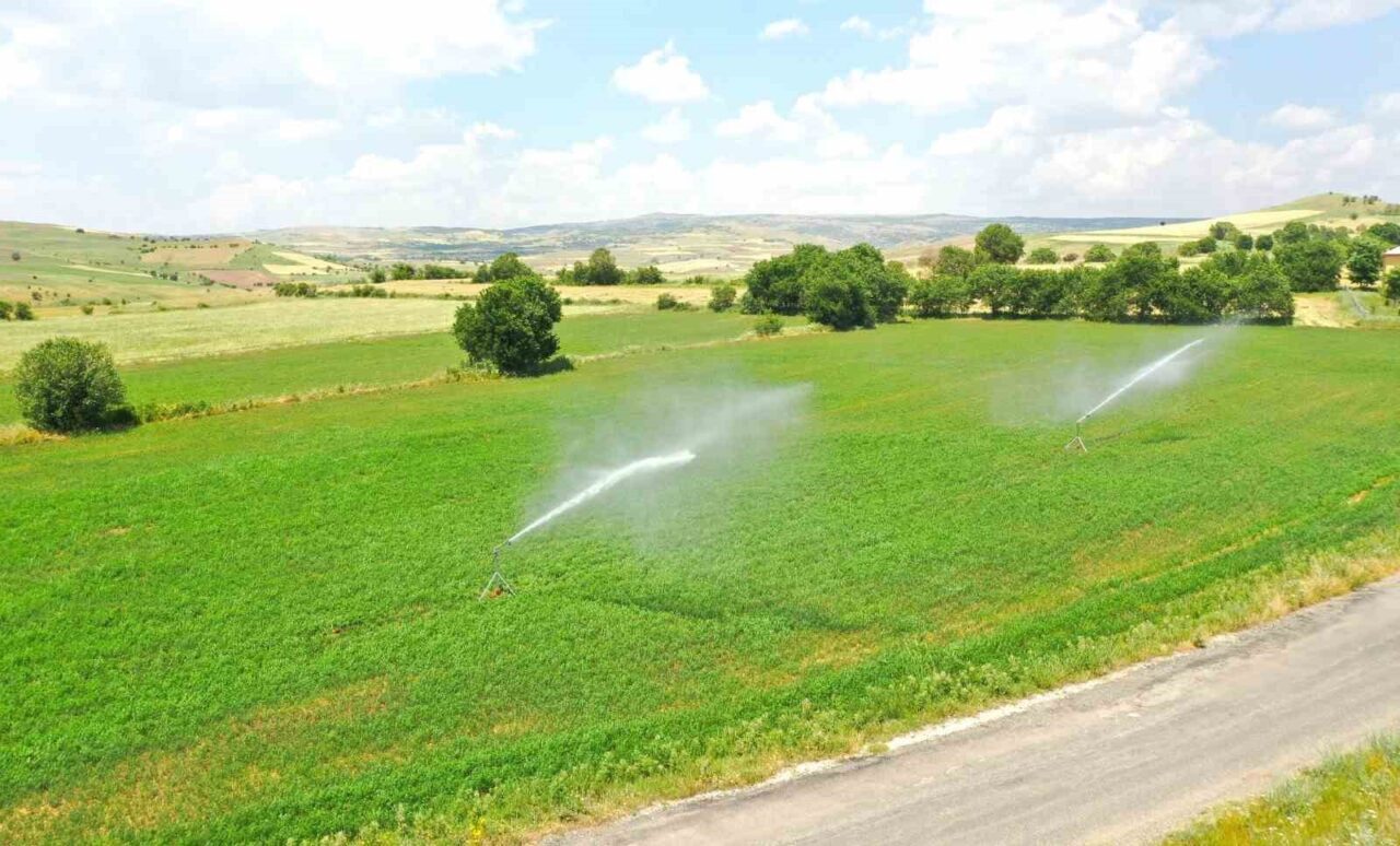 Tunceli’de 40 bin 440 dekar tarım arazisinde yapılacak sulu tarım