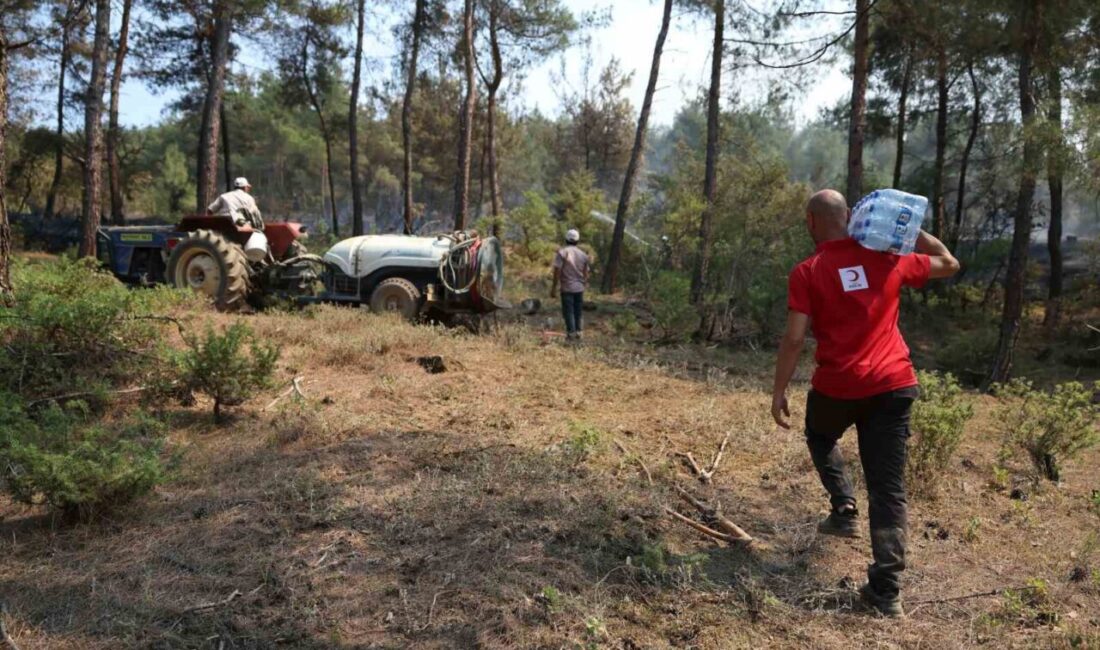 Türk Kızılay ekipleri orman yangını bölgelerinde mücadele eden ekiplere soğuk