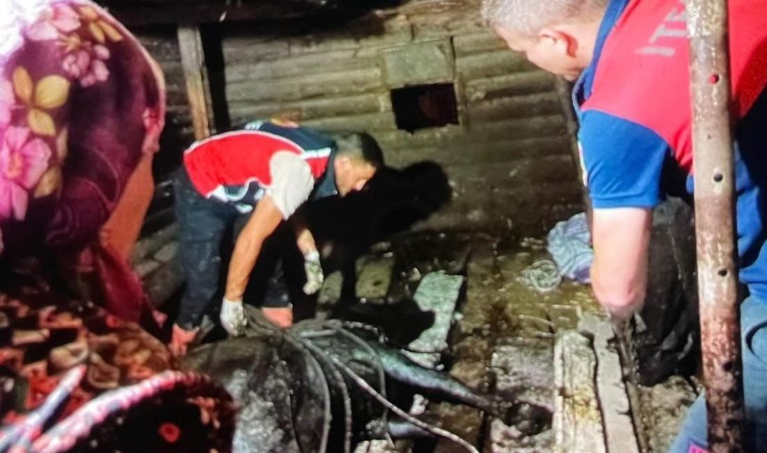 Sinop’un Türkeli ilçesine bağlı Kayabaşı köyünde gece saatlerinde meydana gelen