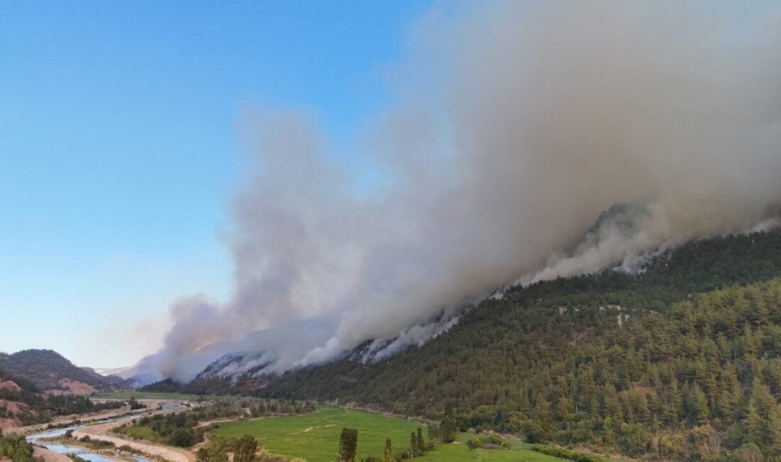 Türkiye’nin yaklaşık 23 milyon hektarlık orman alanının yüzde 55’inin yangın