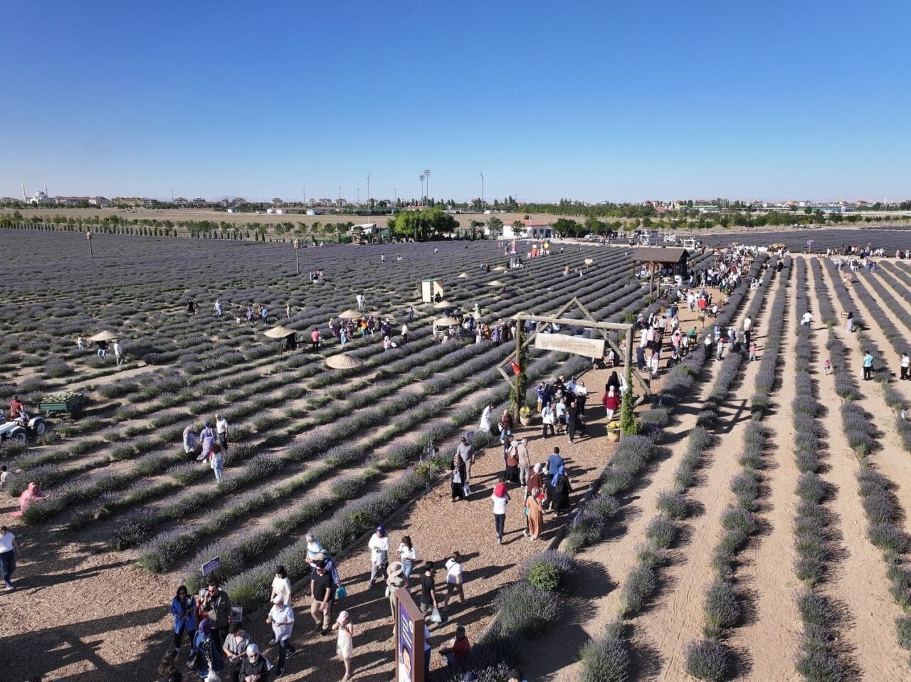 Karatay Lavanta Günleri, bu yıl da binlerce vatandaşı etkileyici atmosferiyle