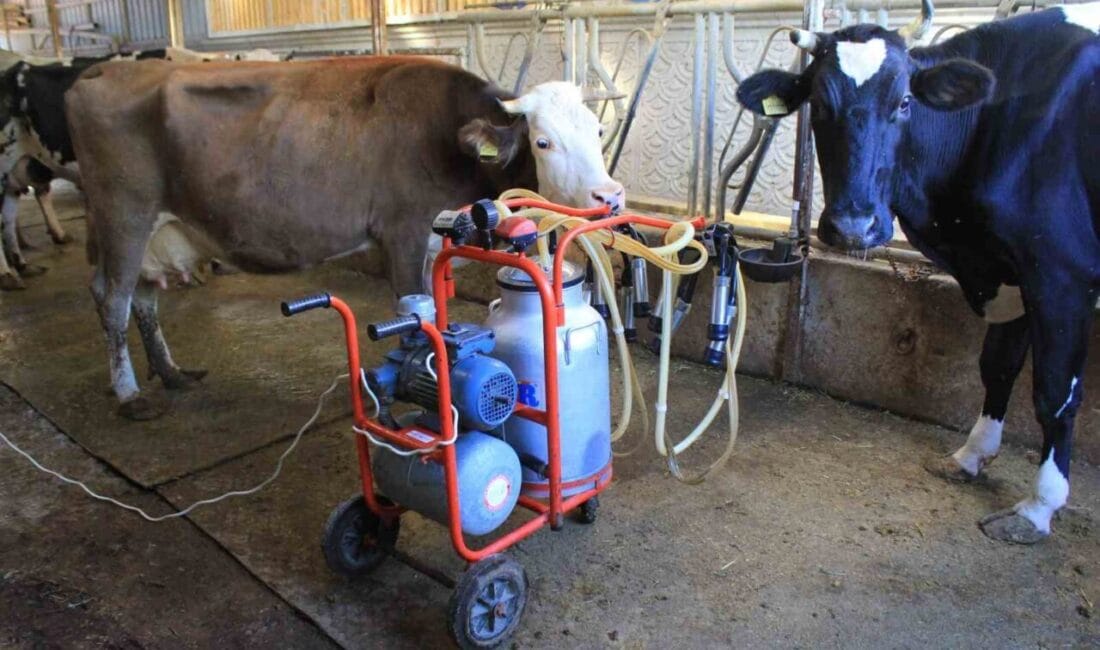 Tüm Süt, Et ve Damızlık Sığır Yetiştiricileri Birliği (TÜSEDAD), 1