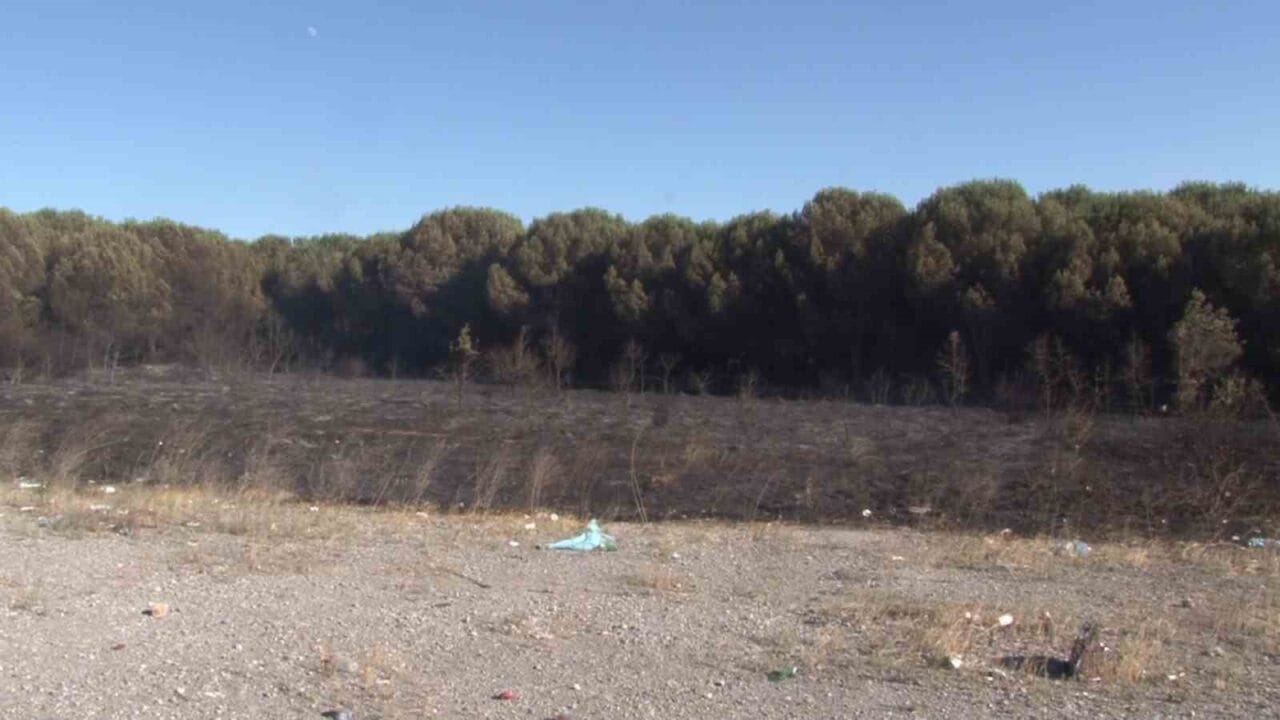 Tuzla’ da otluk alanda çıkan yangın, itfaiye ekiplerinin müdahalesiyle ormanlık