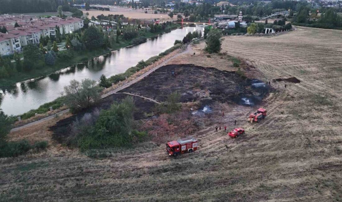 Eskişehir’de bir tarım arazisinde 3 şahsın sebep olduğu yangında, yaklaşık