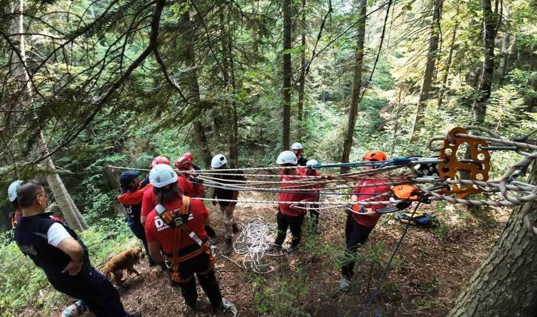 DÜZCE(İHA) – Düzce Arama Kurtarma Ekibi DAKE’nin düzenlediği arazide arama