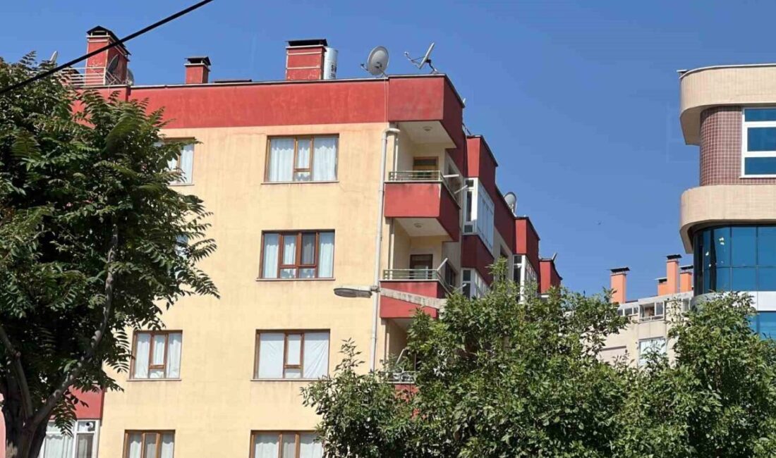 Dolandırıcılar, internet siteleri üzerinden ucuz konut ve iş yeri ilanı