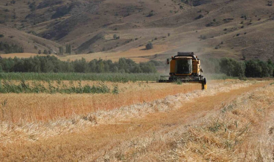 Sivas Bilim ve Teknoloji Üniversitesi’nce (SBTÜ) yürütülen tarımsal Ar-Ge çalışmaları