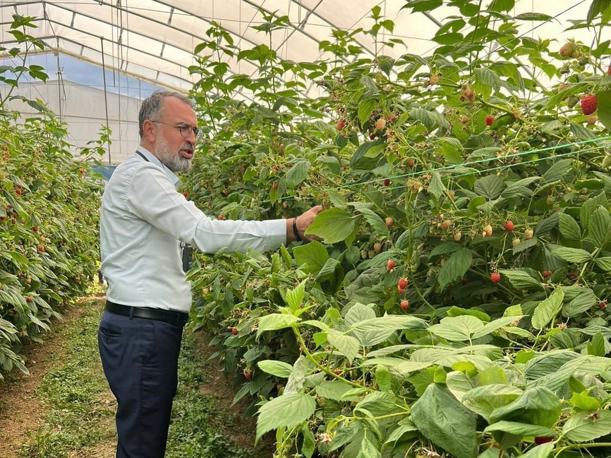 Bursa Ticaret ve Sanayi Odası (BTSO) öncülüğünde, 9-12 Temmuz 2025