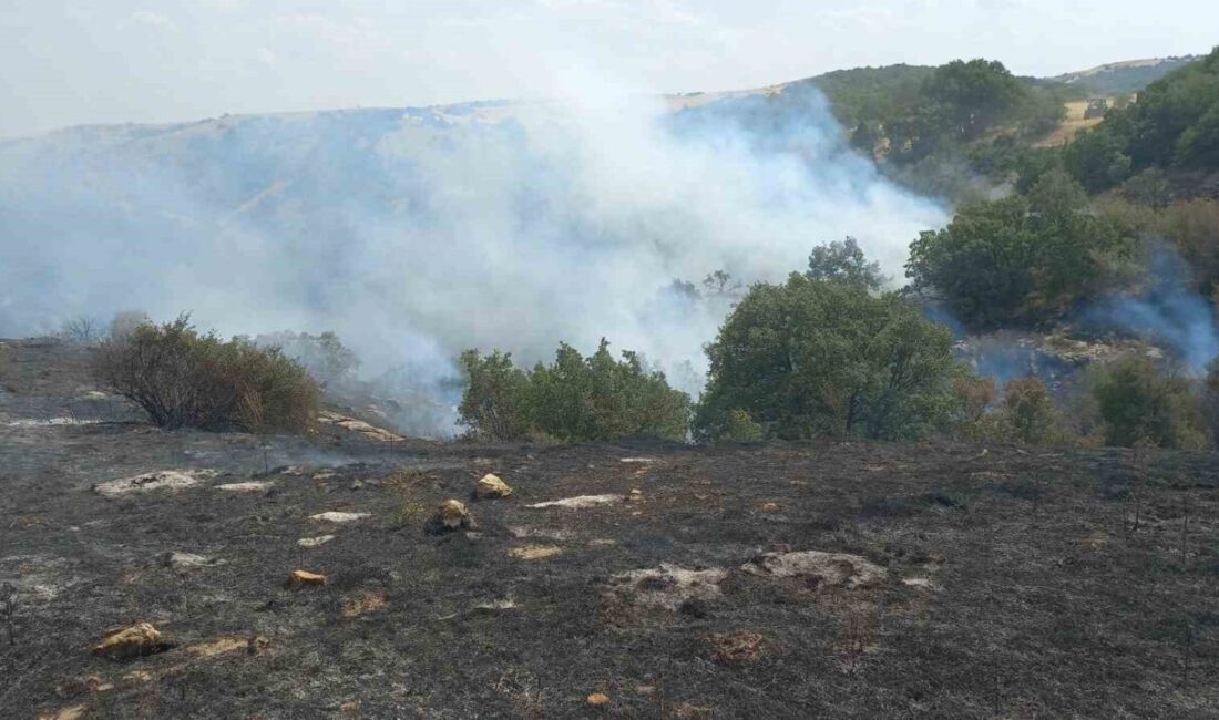 Eskişehir’in Uludere Mahallesi’ndeki tarım arazisinde çıkan ve ormana sıçrayan yangın