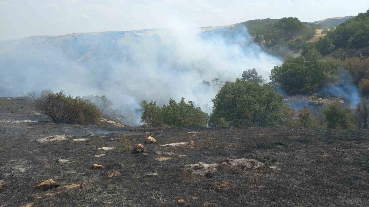 Eskişehir’in Uludere Mahallesi’ndeki tarım arazisinde çıkan ve ormana sıçrayan yangın