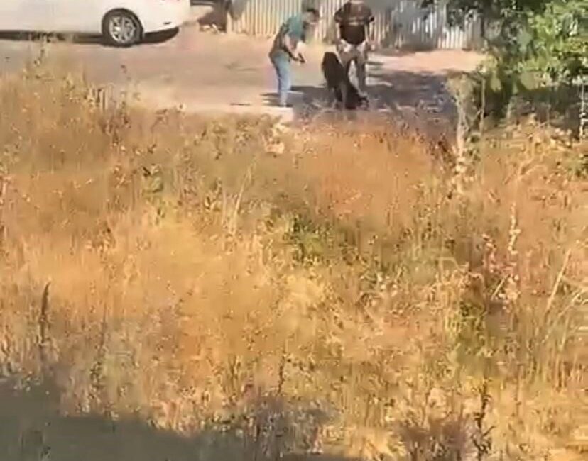 Ümraniye’de elinde silah bulunan bir kişi, sokak ortasında eski sevgilisini