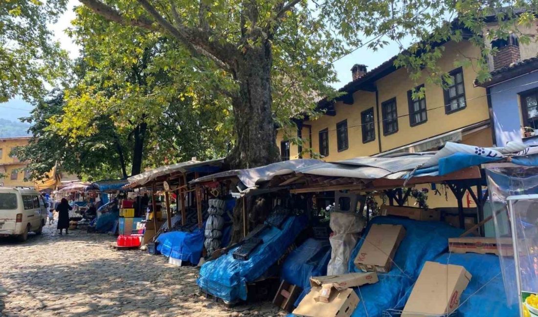 Bursa’da Yıldırım Belediyesi, Unesco Dünya Miras listesine giren 700 yıllık