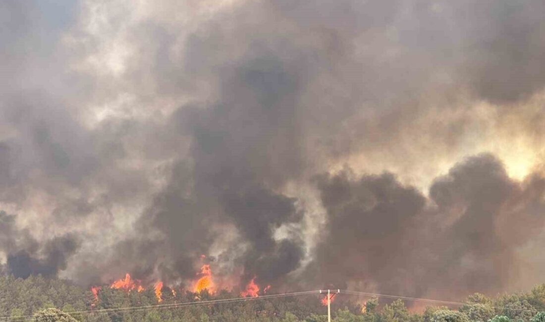 Uşak’ta devam eden orman yangınında tahliye edilen Ketenlik köyünde hasar