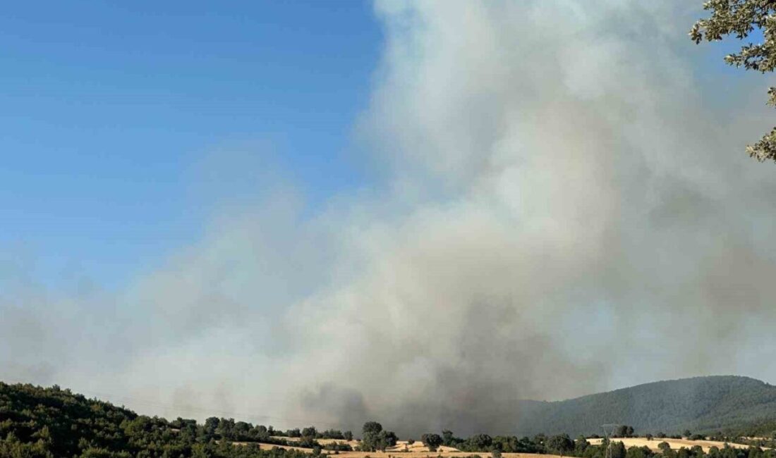 Uşak’ta iki ayrı noktada çıkan yangına ekiplerin söndürme çalışmaları devam