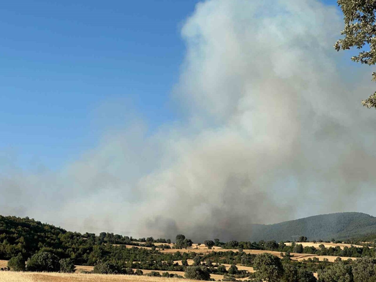 Uşak’ta iki ayrı noktada çıkan yangına ekiplerin söndürme çalışmaları devam