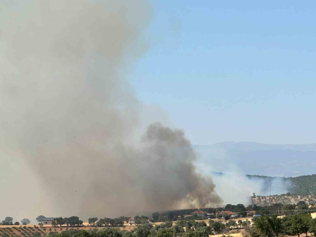 Uşak’ın Sivaslı ilçesinde meşelik alanda çıkan yangına ekiplerin müdahalesi devam