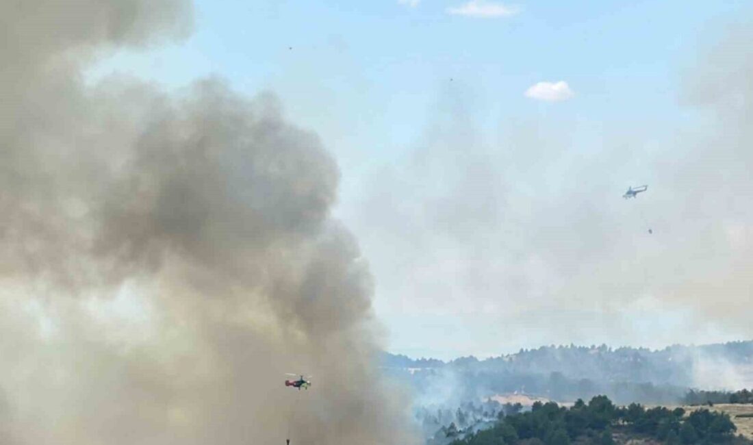 Uşak’ta ormanlık alanda çıkan yangına havadan ve karadan devam ediyor.