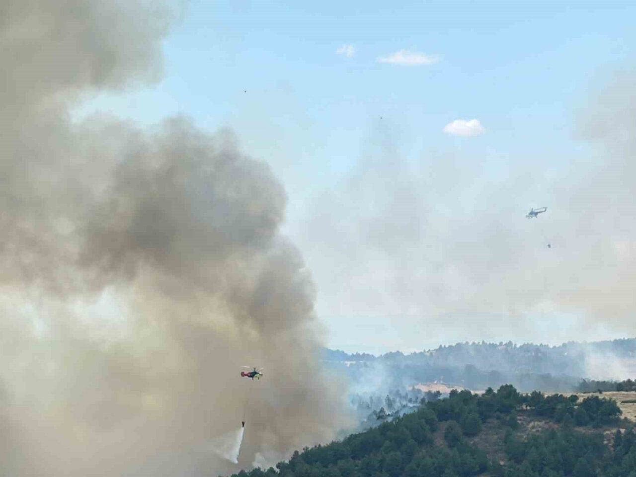 Uşak’ta ormanlık alanda çıkan yangına havadan ve karadan devam ediyor.