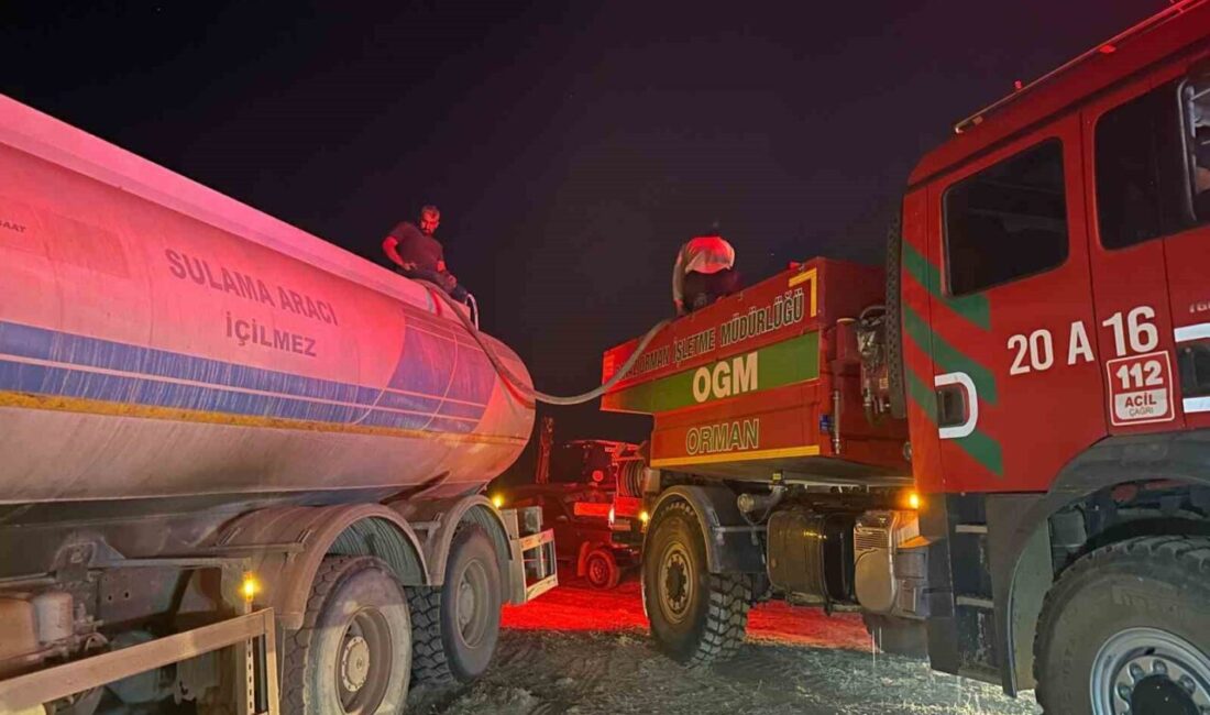 Uşak’ta ormanlık alanda meydana gelen üç ayrı yangın kontrol altına