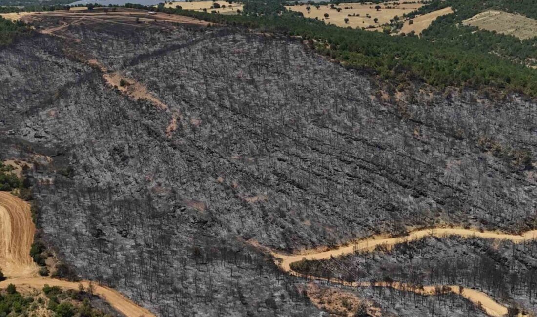 Uşak’ın Banaz ilçesinde yanan ormanlık alan havadan görüntülendi. Uşak’ın Banaz
