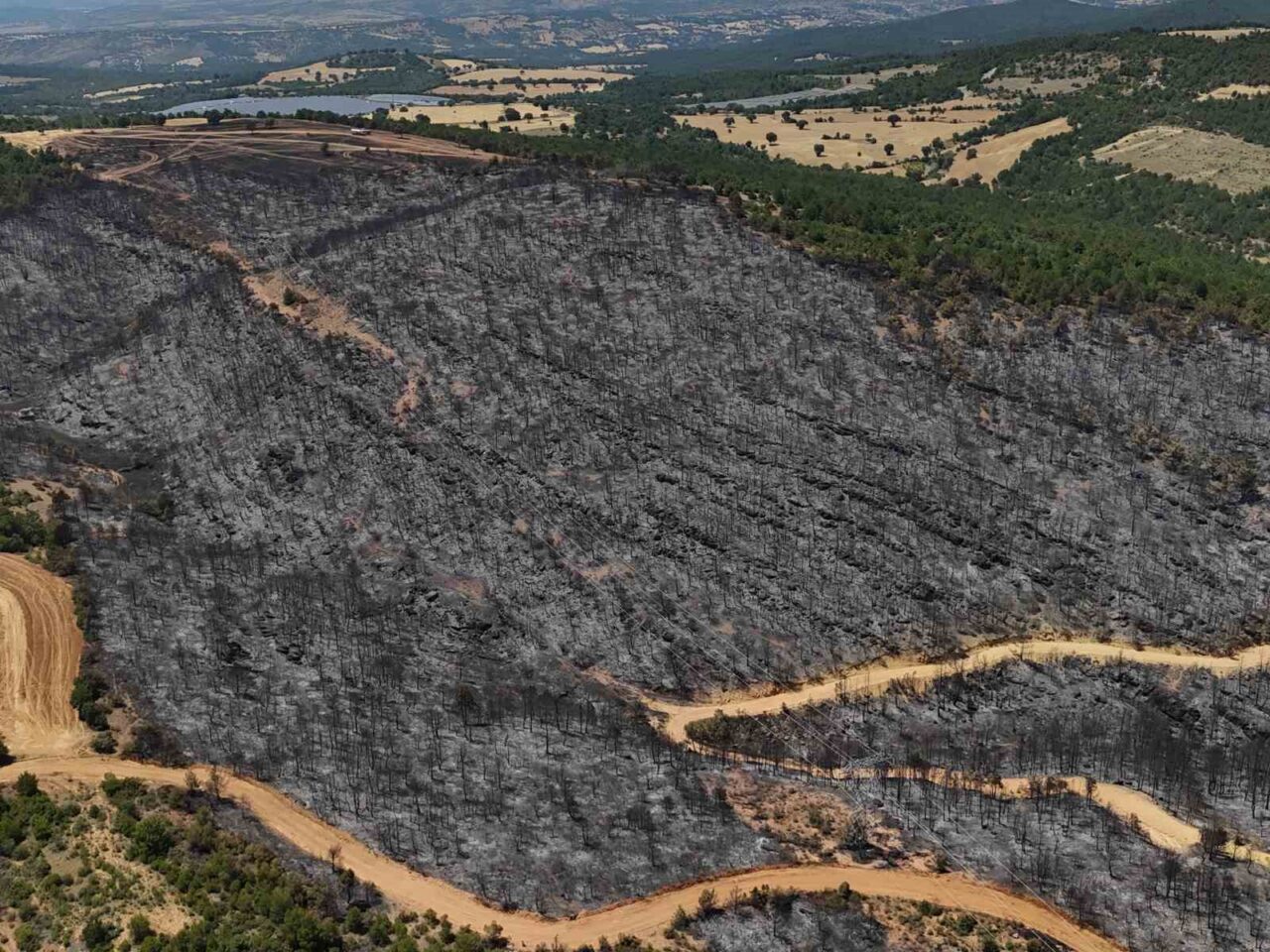Uşak’ın Banaz ilçesinde yanan ormanlık alan havadan görüntülendi. Uşak’ın Banaz