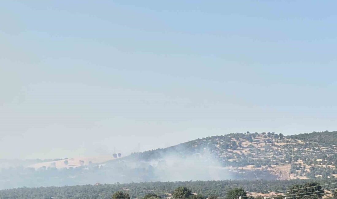 Uşak’ın Sivaslı ilçesinde meşelik alanda çıkan yangına karadan müdahale devam
