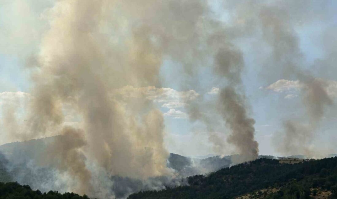 Uşak’taki orman yangınına havadan ve karadan müdahale devam ediyor. Uşak