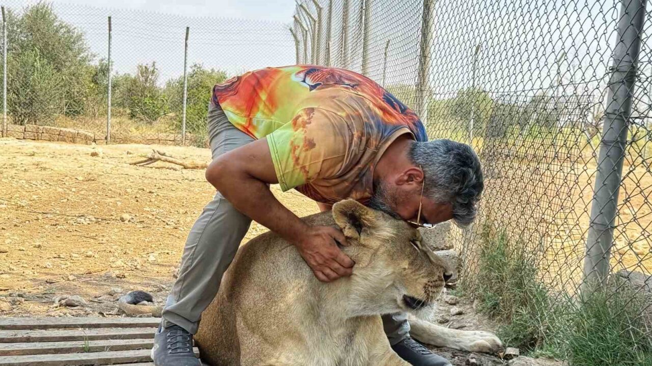 Diyarbakır’ın Kocaköy ilçesinde küçük yaşlarda başlayan vahşi hayvan sevgisini 13