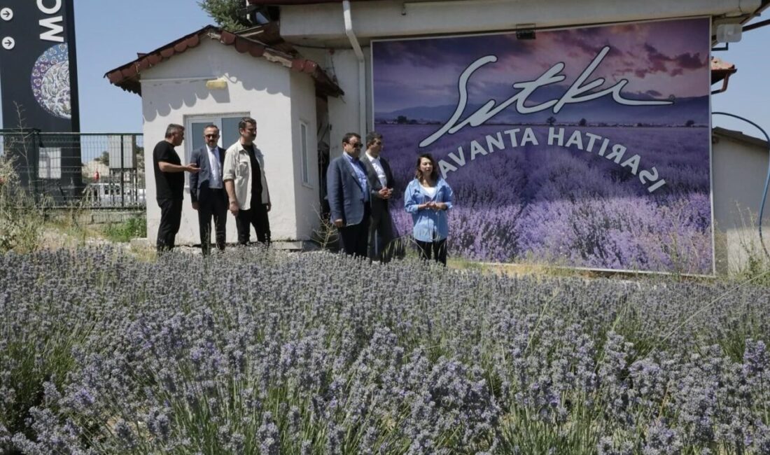 Kütahya Valisi Musa Işın, Kültür ve Turizm Bakanlığı Çini Sanatçısı