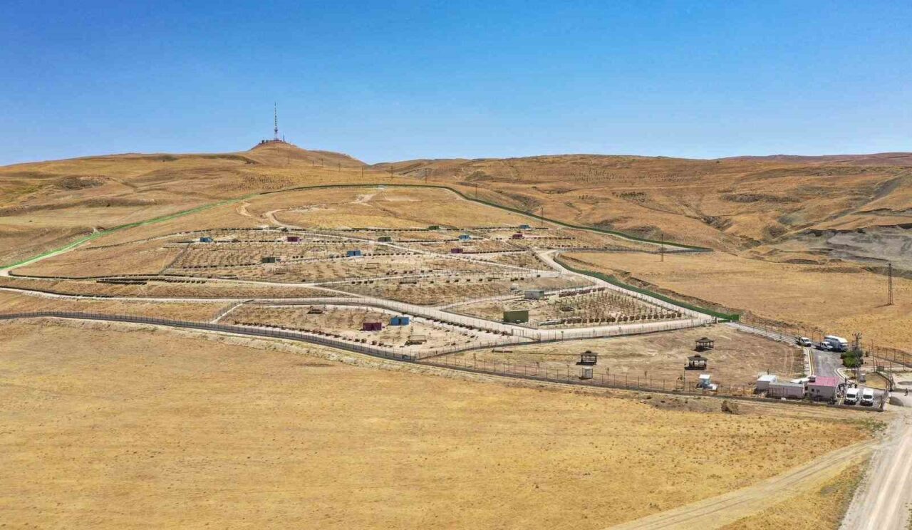 Van Büyükşehir Belediyesi, Kurubaş mevkiinde sokak hayvanları için kurulan 256