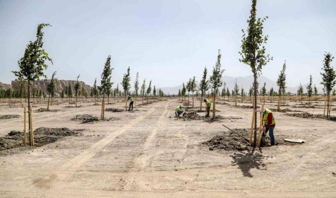 Van Büyükşehir Belediyesi, Van Gölü Sahil Yolu üzerinde yer alan