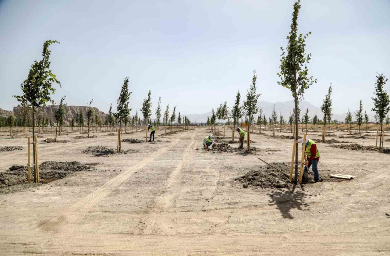 Van Büyükşehir Belediyesi, Van Gölü Sahil Yolu üzerinde yer alan