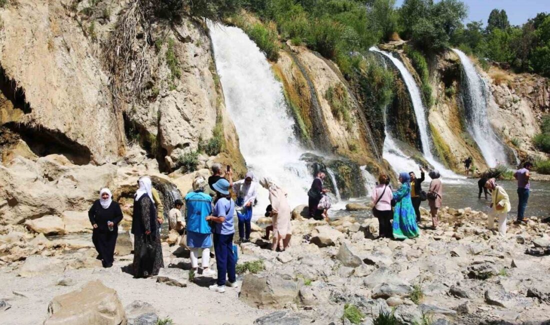 Van Büyükşehir Belediyesi, kentte yaşayan yaşlı bireyler için anlamlı bir