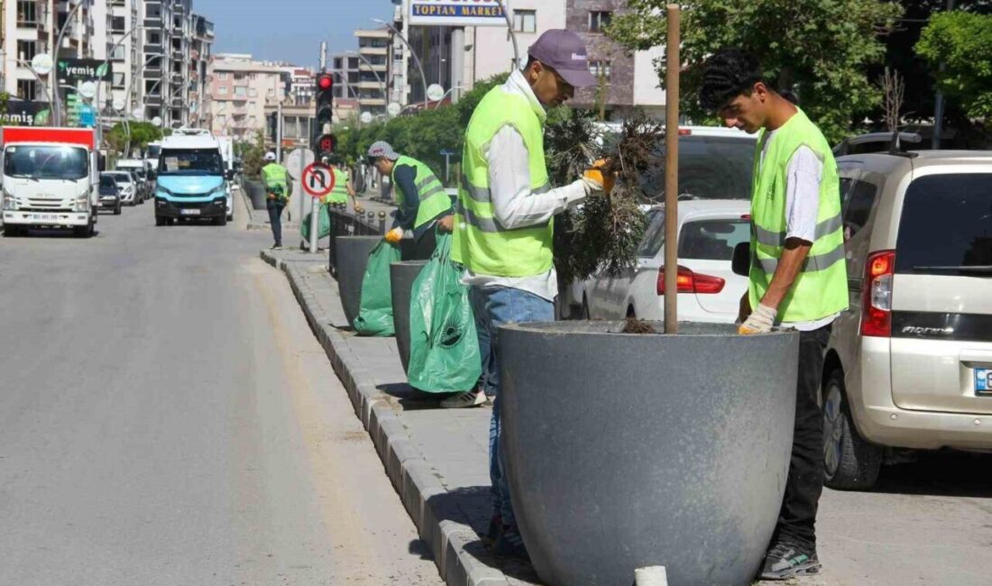 Van Büyükşehir Belediyesi, kent genelindeki 32 cadde ve 26 parkta