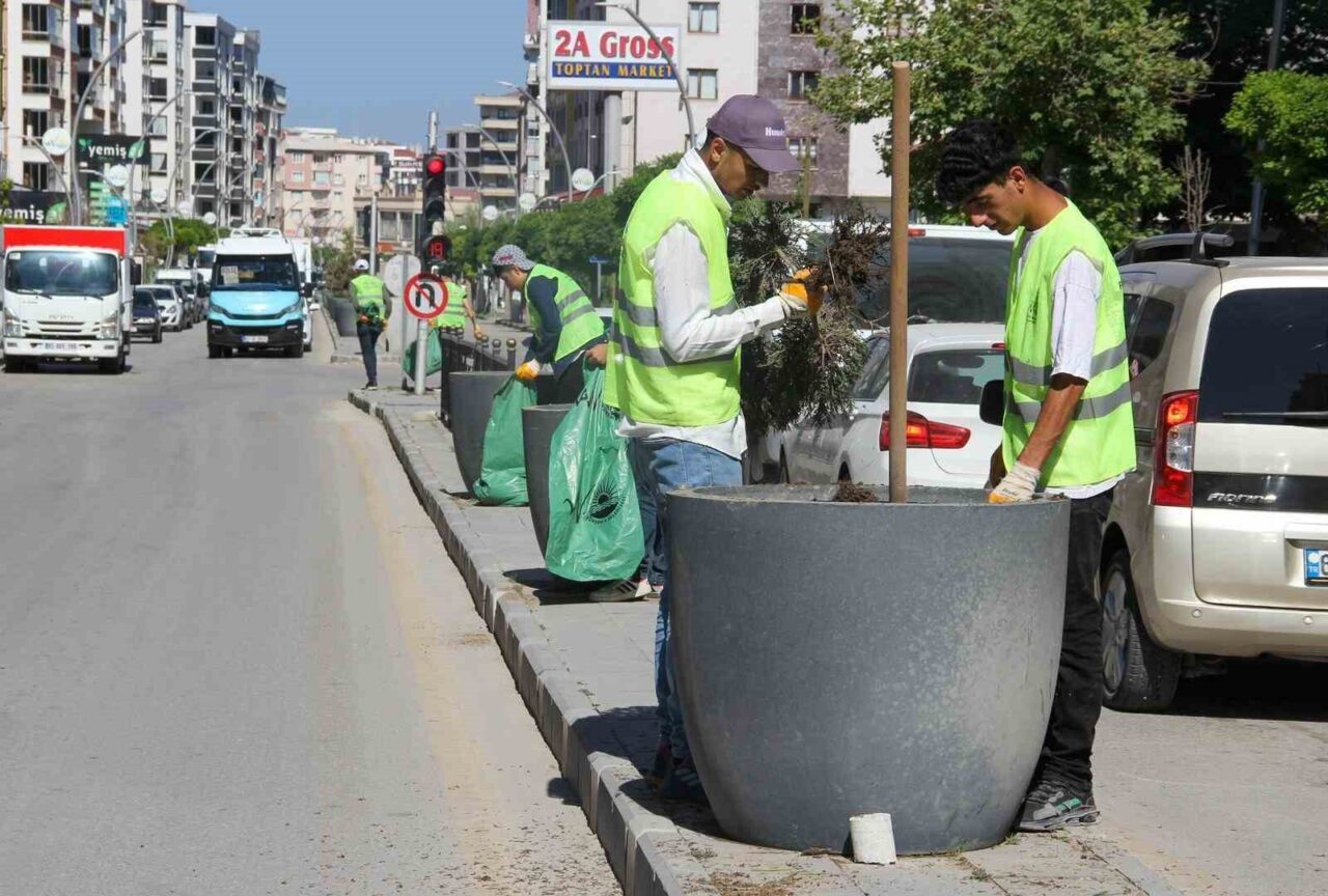 Van Büyükşehir Belediyesi, kent genelindeki 32 cadde ve 26 parkta