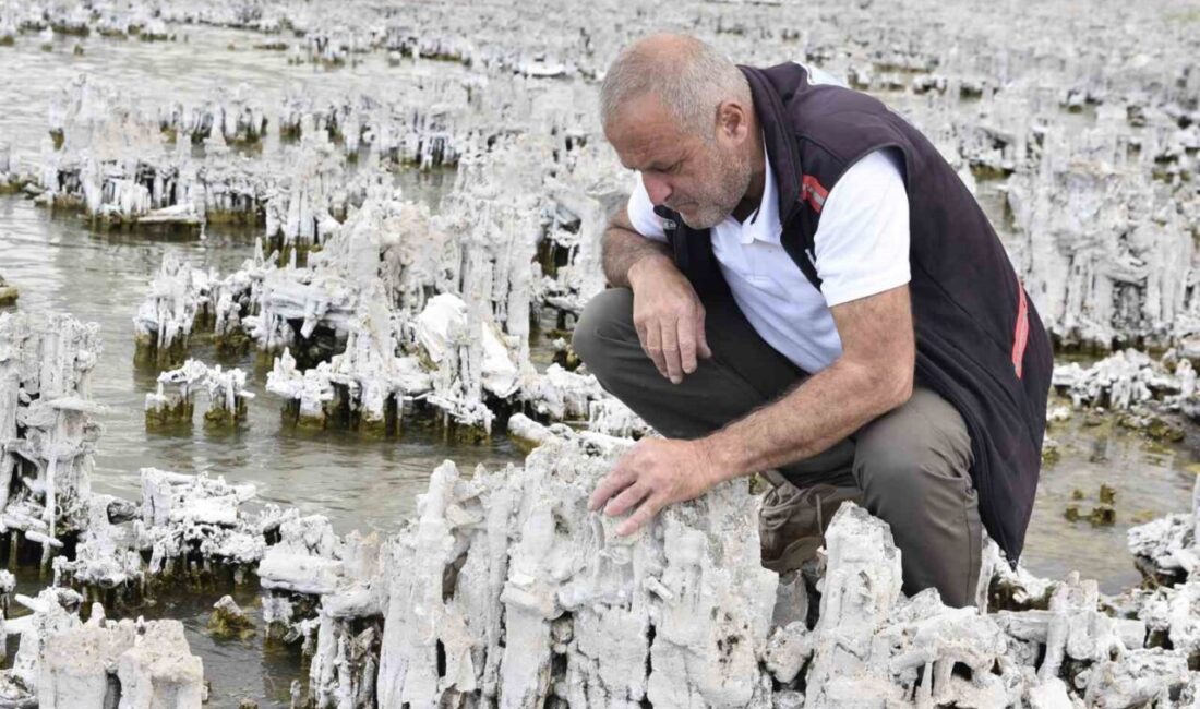 Türkiye’nin en büyük gölü olma özelliğini taşıyan Van Gölü’nde şu