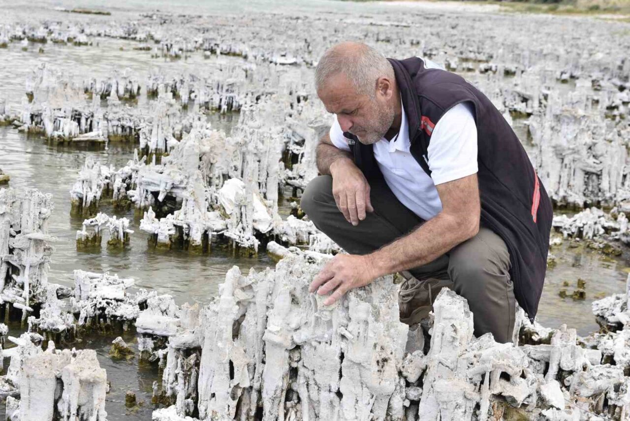 Türkiye’nin en büyük gölü olma özelliğini taşıyan Van Gölü’nde şu