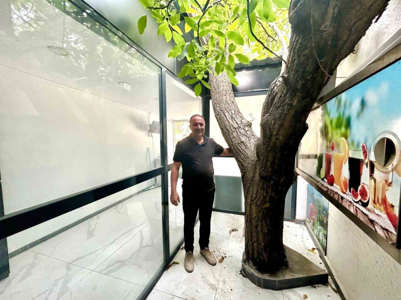 Van’da bir esnaf, iş yerinin tam ortasında bulunan asırlık ceviz