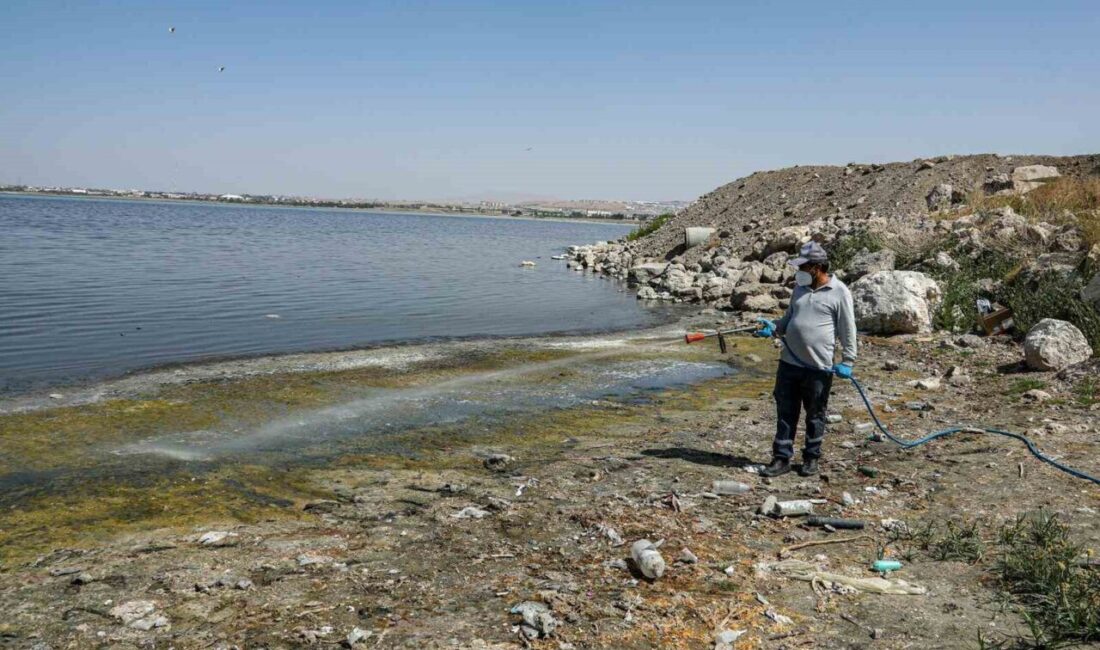 Van Büyükşehir Belediyesi halk sağlığını tehdit eden kent zararlılarına karşı