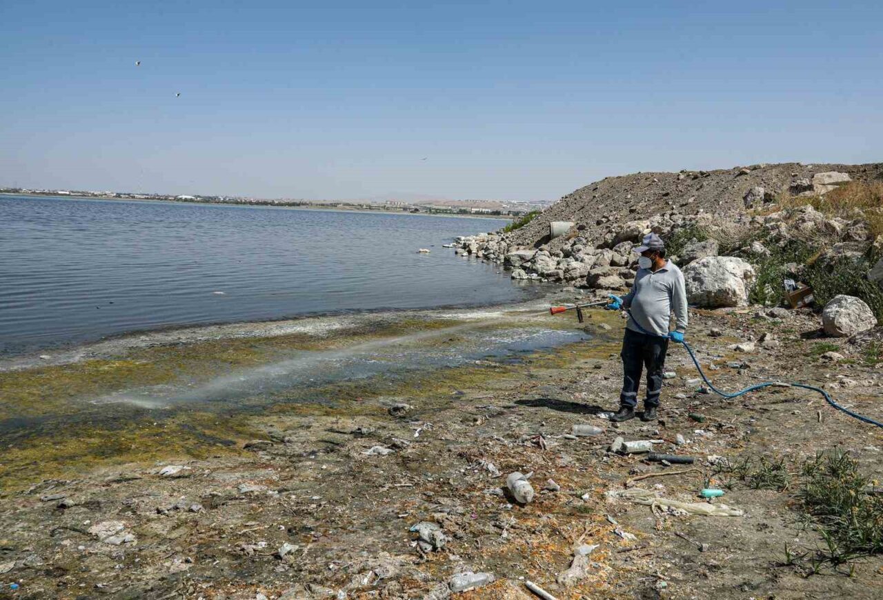 Van Büyükşehir Belediyesi halk sağlığını tehdit eden kent zararlılarına karşı