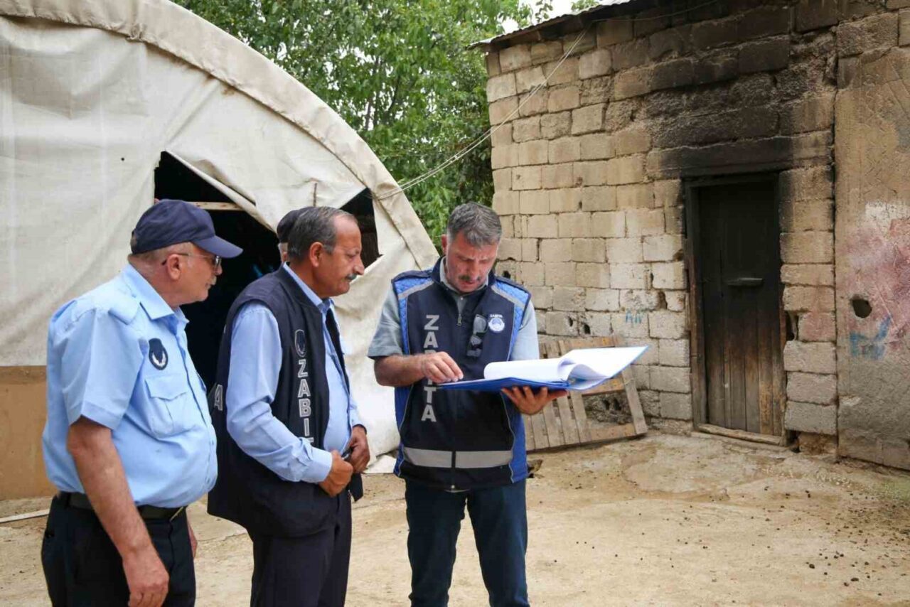 Van Büyükşehir Belediyesi, şehir içinde ve sahil kesimlerinde bulunan ahırlara