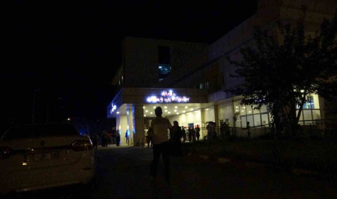 Van’ın Erciş ilçesinde arazi anlaşmazlığı nedeniyle çıkan silahlı kavgada 1