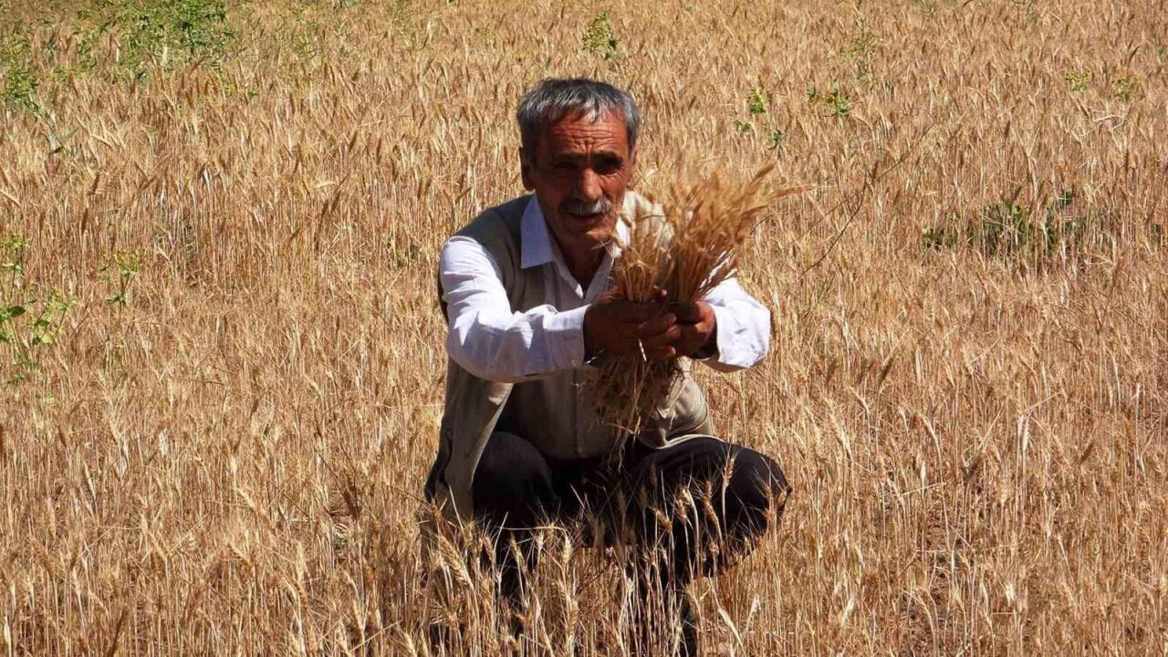 Van’ın İpekyolu ilçesinde çiftçiler, mahallelerinde yaşanan su sorununun gölet yapılarak