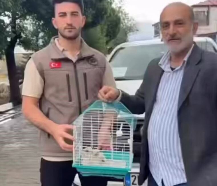 Iğdır’da duyarlı vatandaşlar tarafından bulunan iki kerkenez yavrusu ile Hudut