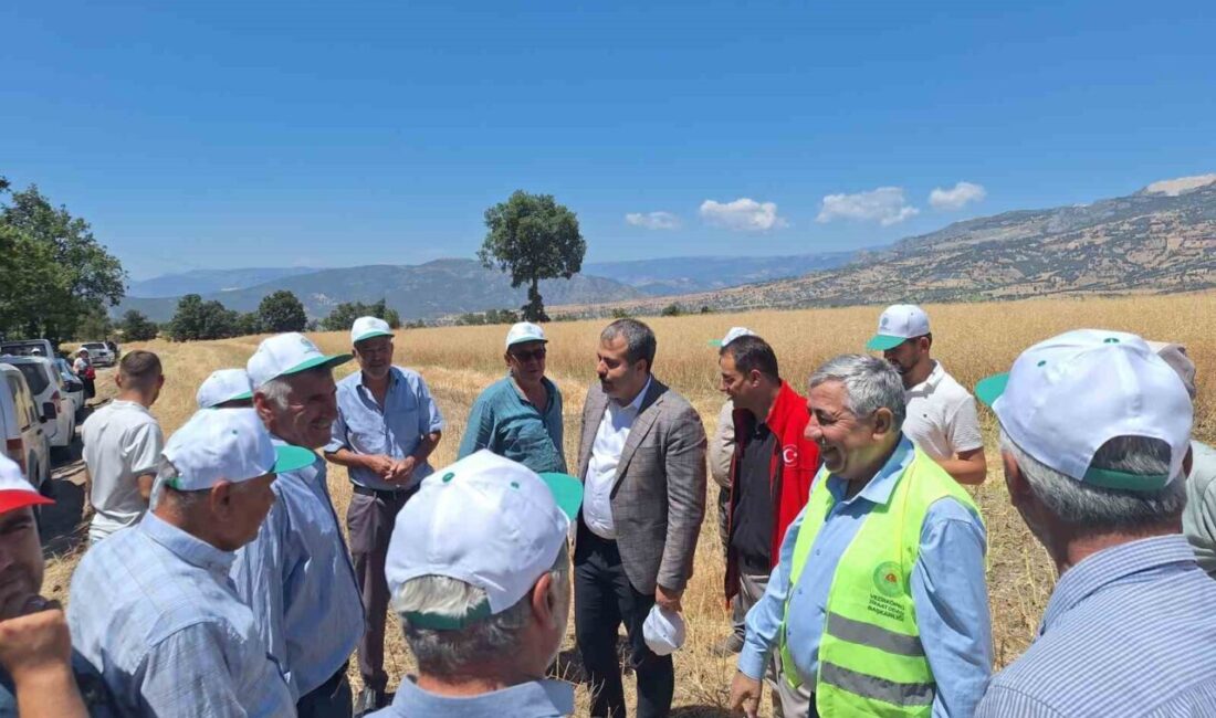Samsun’da, Tarım ve Orman Bakanlığı destekli ‘Baharın İlk Arı Çiçekleri