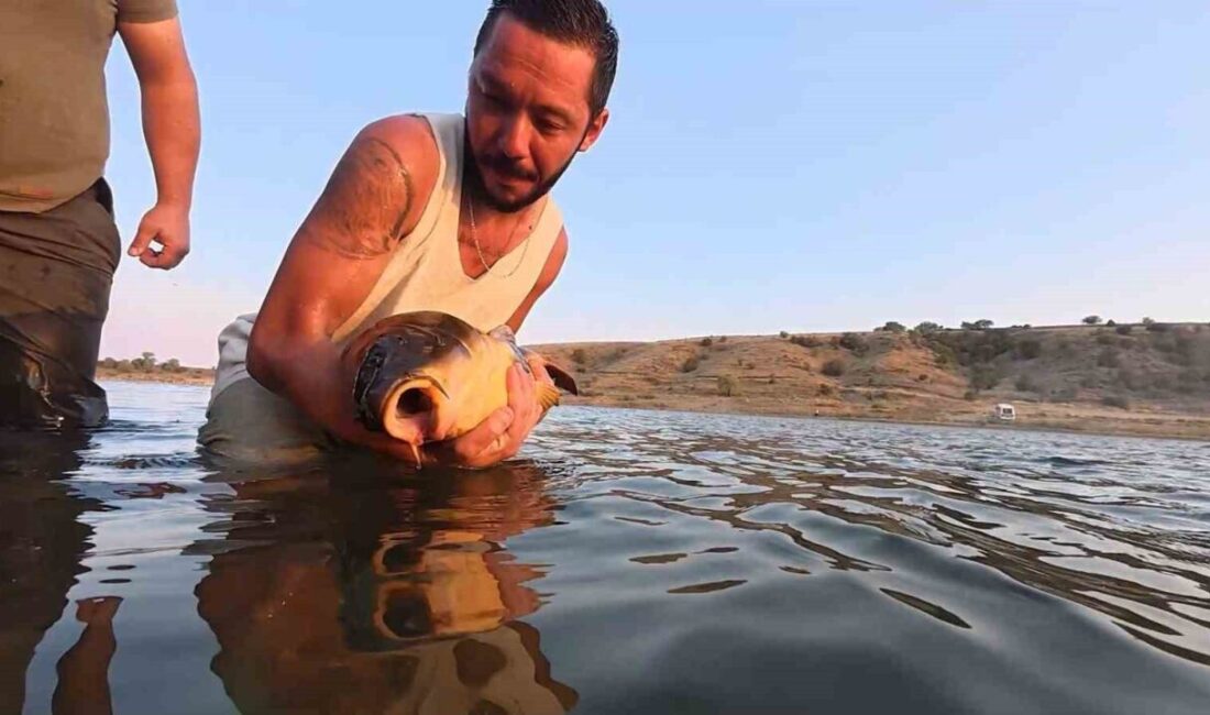 Eskişehir’de bir arkadaş grubu yakaladıkları balıkları sportif balıkçılığın devam edebilmesi