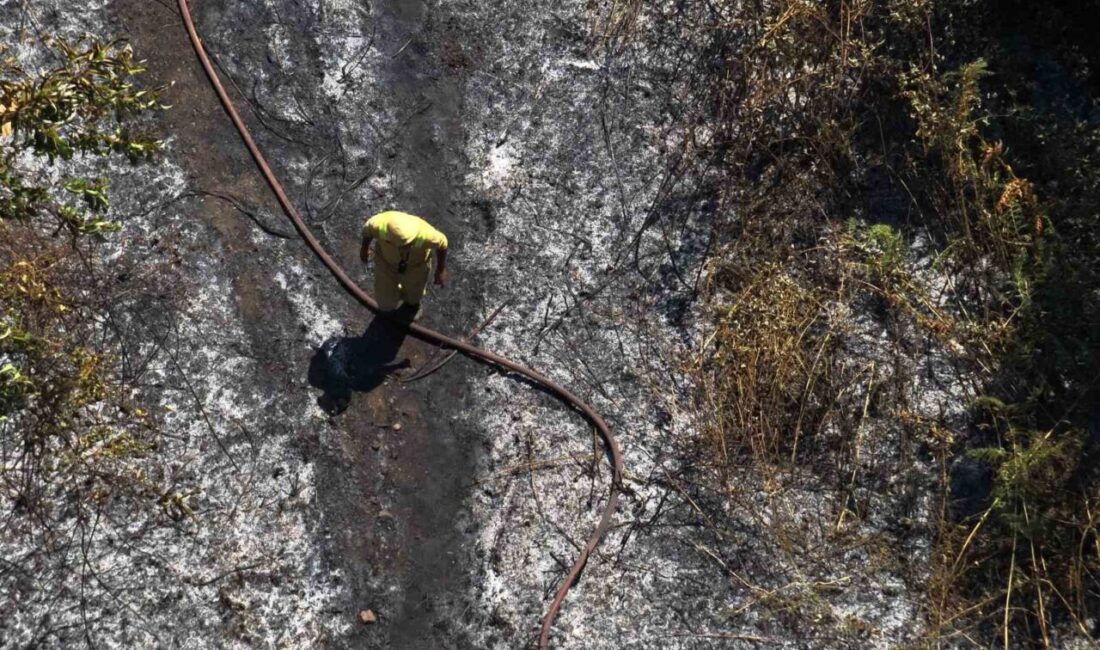 Yalova’nın Çınarcık ilçesine bağlı Teşvikiye beldesi ormanlık alanda çıkan yangın