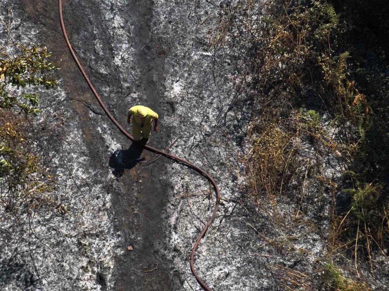 Yalova’nın Çınarcık ilçesine bağlı Teşvikiye beldesi ormanlık alanda çıkan yangın