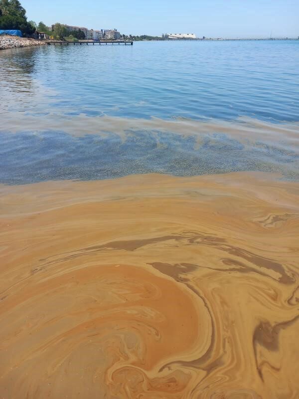 Yalova’nın Çiftlikköy ilçesinde yağmur suyu kanalından Marmara Denizi’ne atık yağ